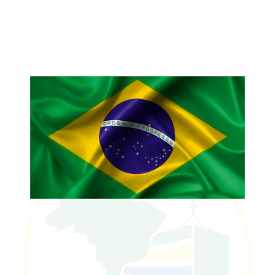 Bandeira do Brasil - 100% Poliester - 95 X 135 cm